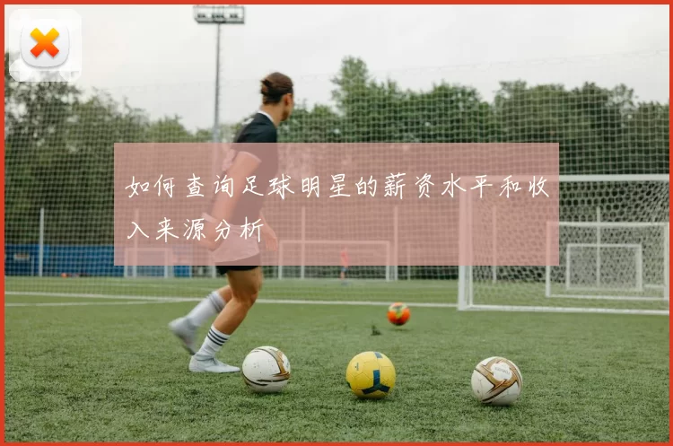 如何查询足球明星的薪资水平和收入来源分析