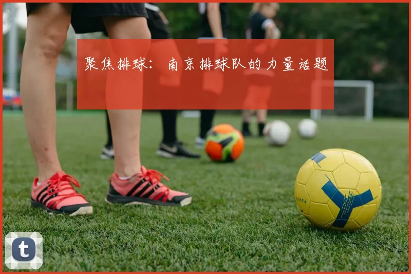 聚焦排球：南京排球队的力量话题