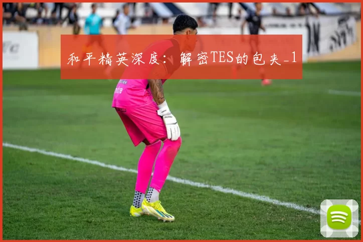 和平精英深度：解密TES的包夹_1