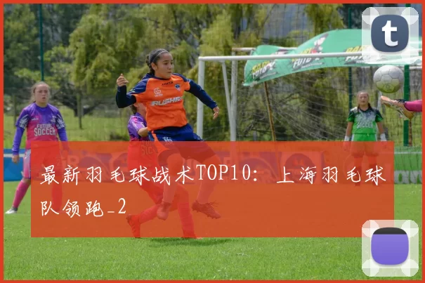 最新羽毛球战术TOP10：上海羽毛球队领跑_2