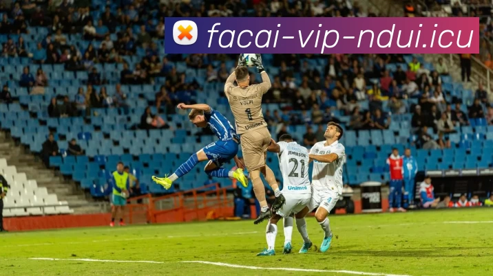 开云体育品牌故事