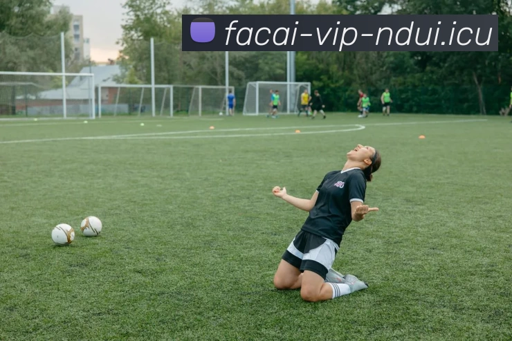 开云体育服务体系